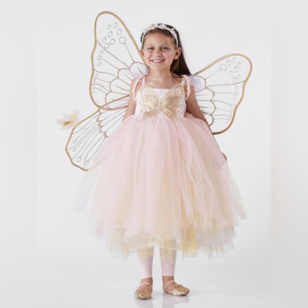 Pottery Barn Pink Butterfly Fairy Halloween Costume 3T